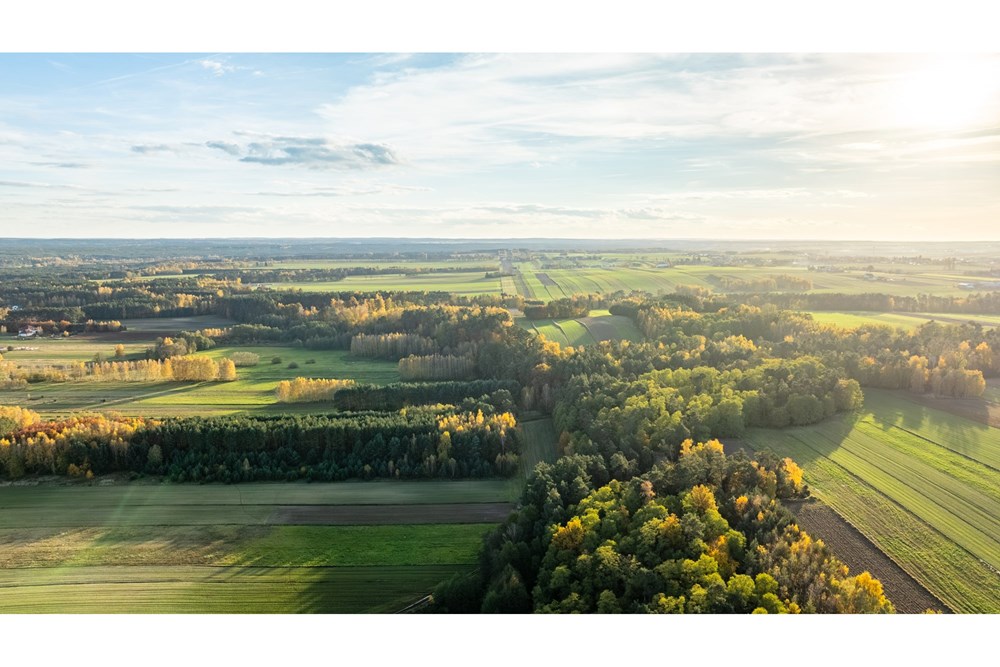 Dom wolnostojący - Sprzedaż - Toporów, Polska - 1 (10).jpg - 810251052-72