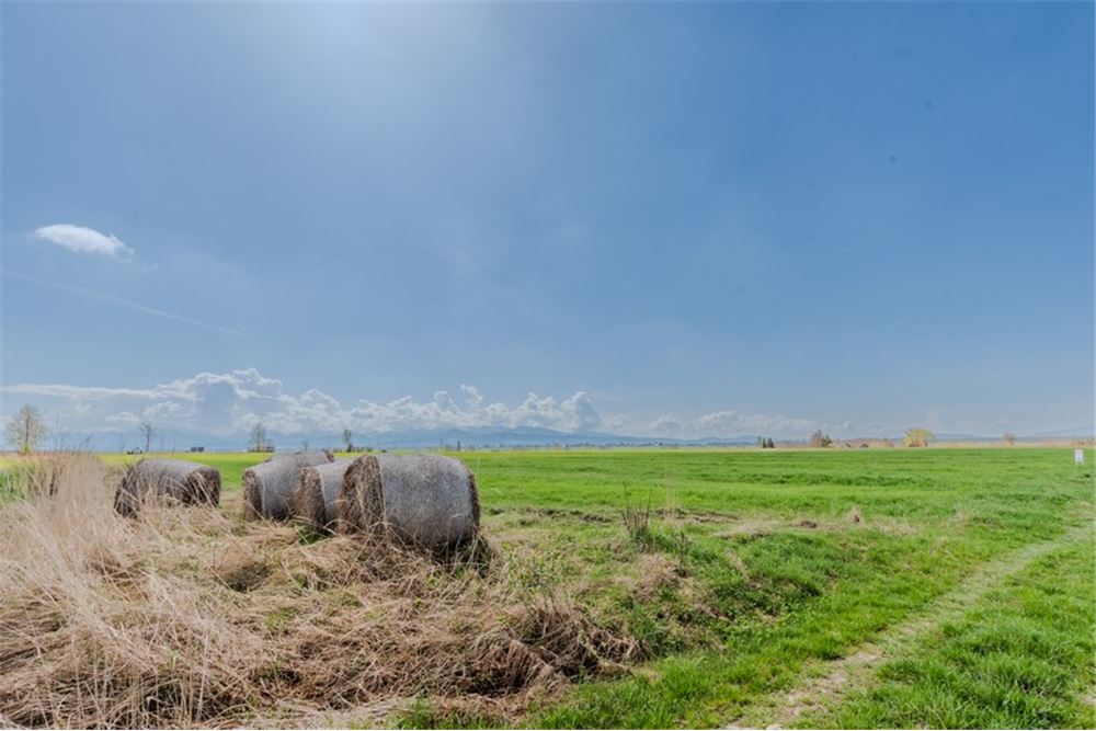 Nieruchomość gruntowa - Sprzedaż - Jabłonka, Polska - 10 - 470131089-56