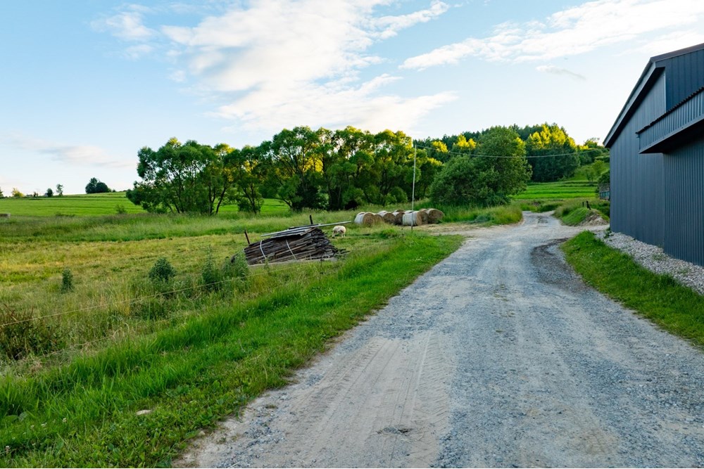 Działka budowlana - Sprzedaż - Pieniążkowice, Polska - DJI_0589-HDR-29.jpg - 800091045-36