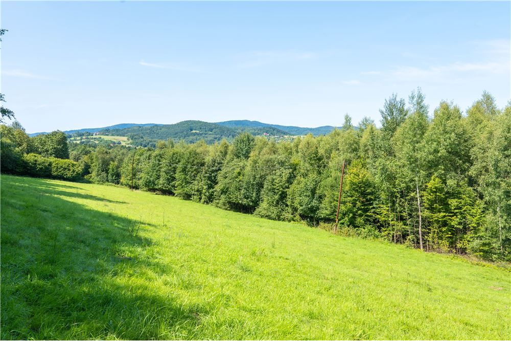 Działka - Sprzedaż - Tarnawa Dolna, Polska - 47 - 800061116-22