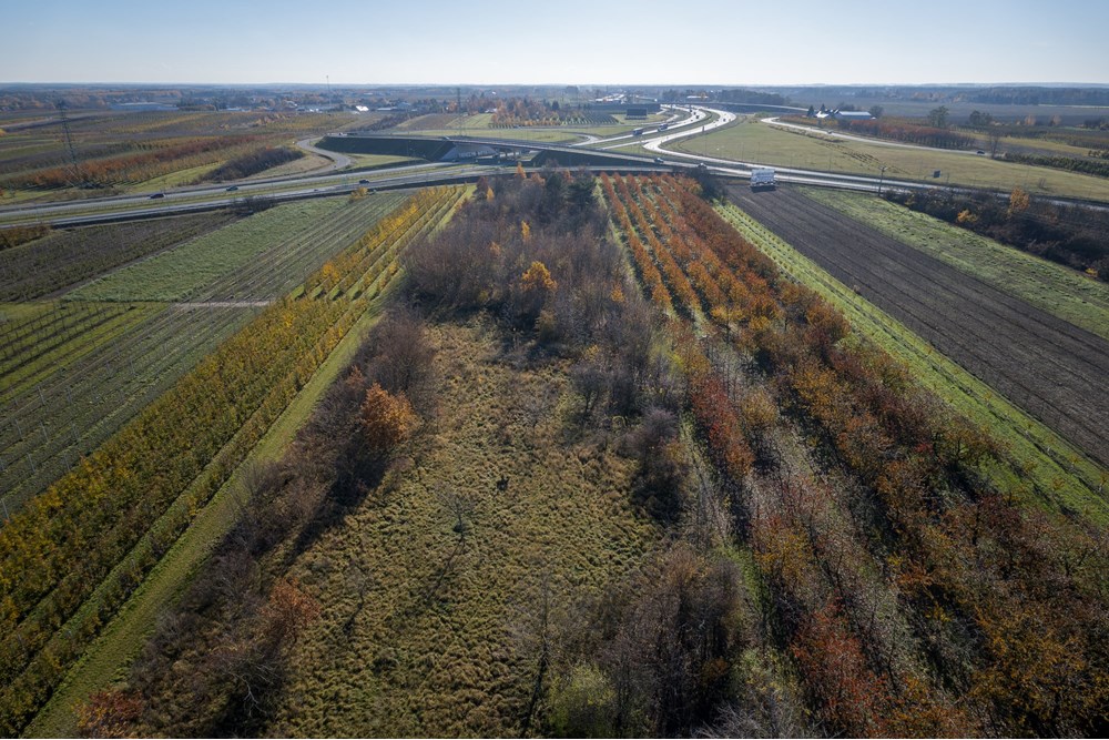 Nieruchomość gruntowa - Sprzedaż - Tarczyn, Polska - REMBERTOW-39.jpg - 810251035-71