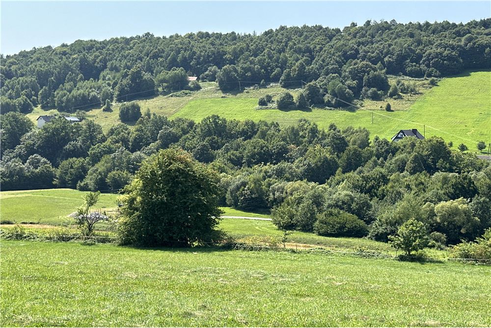 Działka - Sprzedaż - Młynne, Polska - 28 - 800061103-179