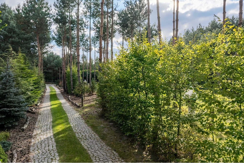 Dom wolnostojący - Sprzedaż - Wilkowyja, Polska - DJI_20251002152047_0542_D.jpg - 790121001-494