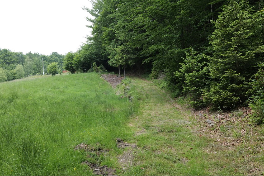 Działka - Sprzedaż - Wilkowice, Polska - P1011726.JPG - 800061116-13