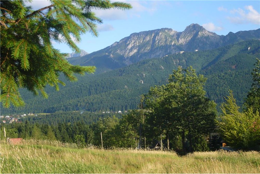 Dom wolnostojący - Sprzedaż - Kościelisko, Polska - 8 - 470151015-491