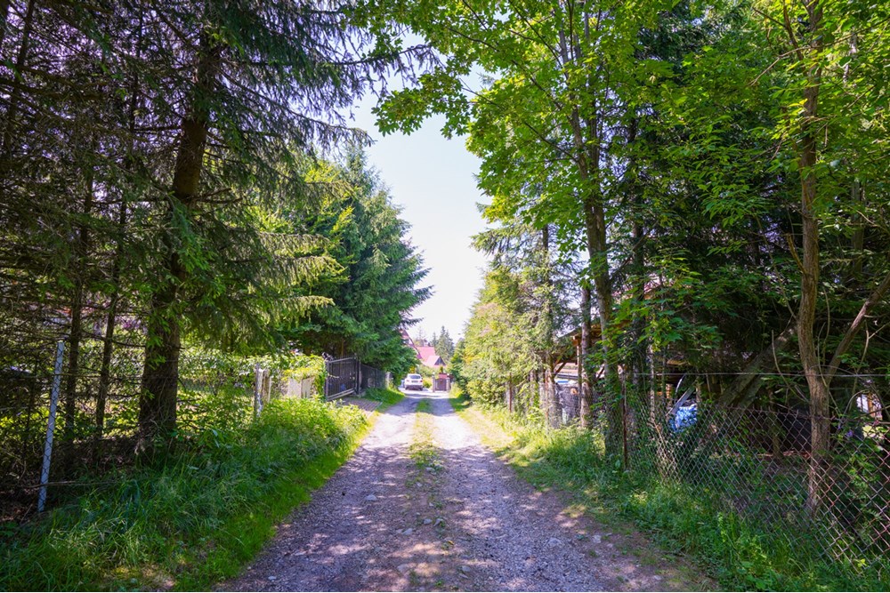 Dom wolnostojący - Sprzedaż - Zakopane, Polska - 20250721-DSC02609.jpg - 800091055-12