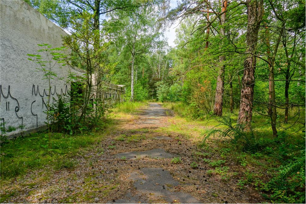 Nieruchomość inwestycyjna - Sprzedaż - Osiedle Wilga, Polska - 6 - 810141002-647