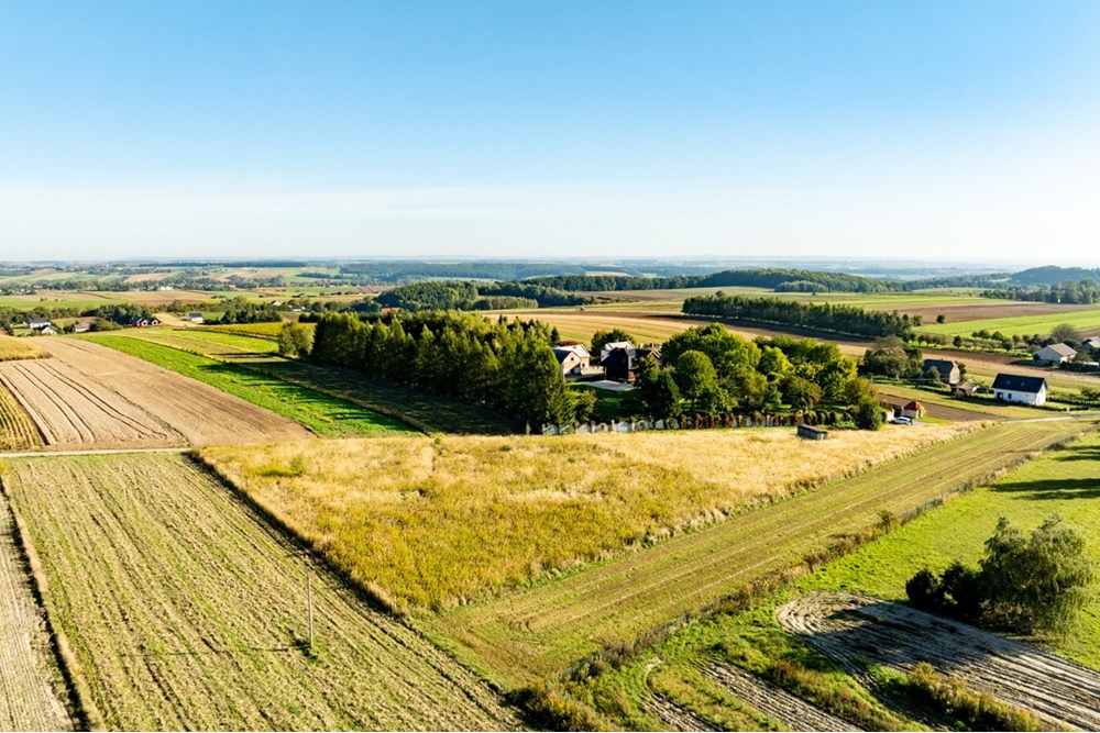 Działka budowlana - Sprzedaż - Skała, Polska - 20250927-DJI_0485-HDR.jpg - 800241031-45