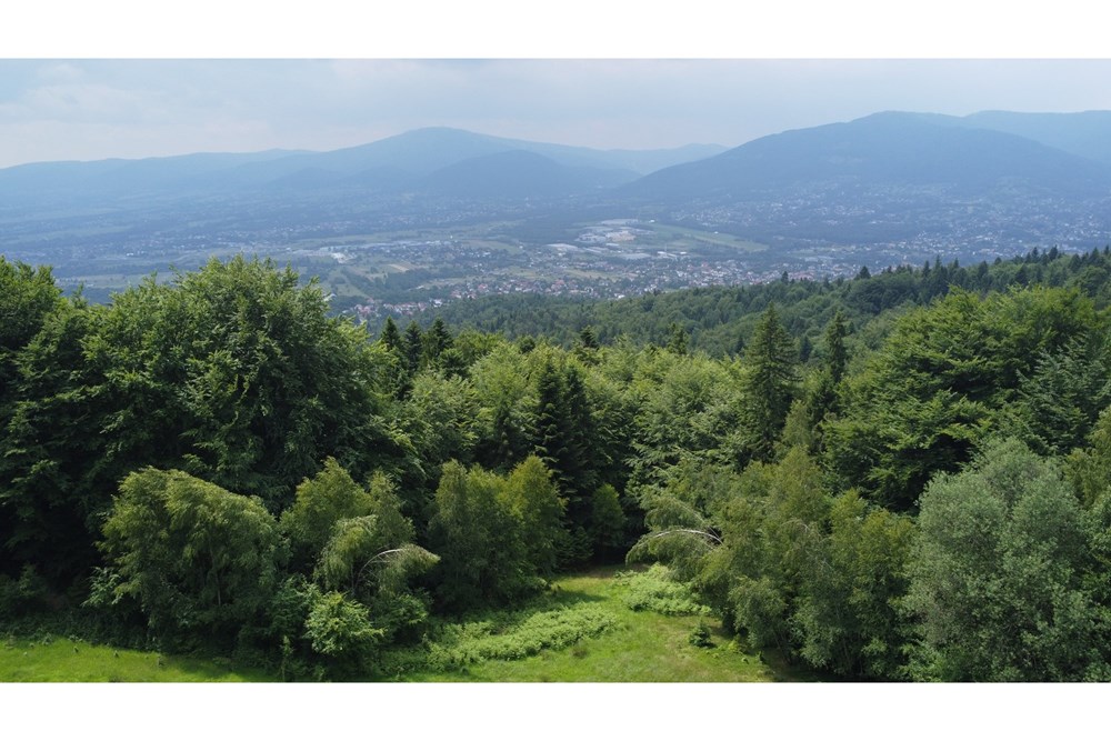 Działka - Sprzedaż - Wilkowice, Polska - DJI_0094.JPG - 800061116-13