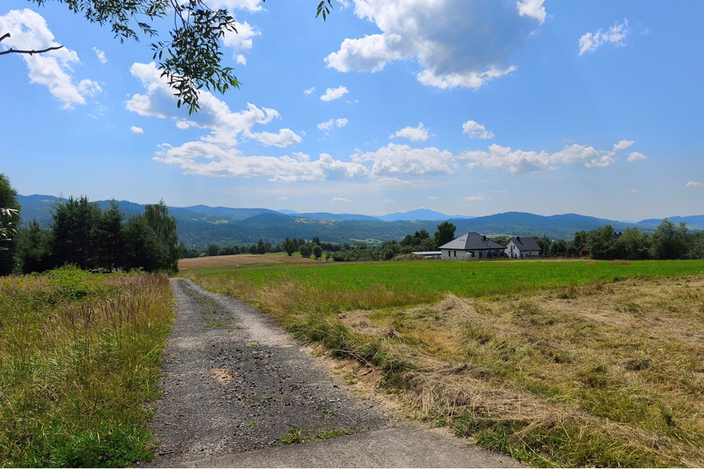 Działka budowlana - Sprzedaż - Ślemień, Polska - 1753106889439.jpg - 800061129-2