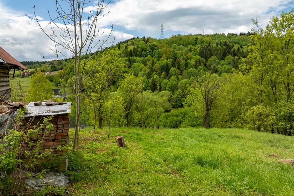 Działka budowlana - Sprzedaż - Łętownia, Polska - DJI_0890-HDR-6.jpg - 800091049-16