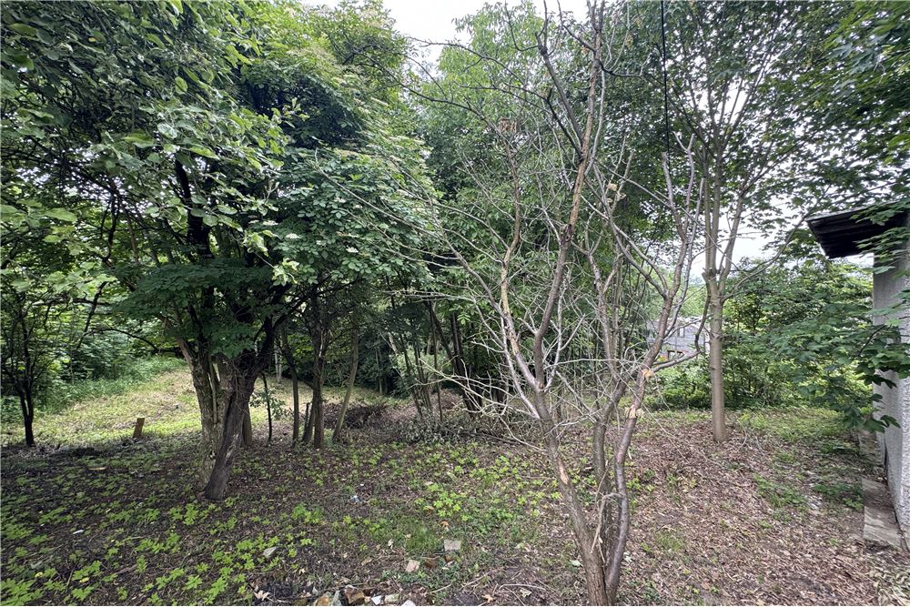 Działka budowlana - Sprzedaż - Chocznia, Polska - 5 - 800061100-85