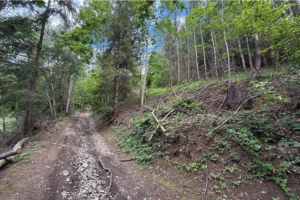 Nieruchomość gruntowa - Sprzedaż - Krościenko nad Dunajcem, Polska - IMG_0476-2.jpeg - 800091057-5