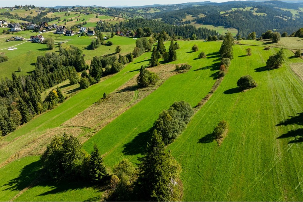 Nieruchomość gruntowa - Sprzedaż - Poronin, Polska - 20250922-DJI_0918-HDR.jpg - 470151039-63