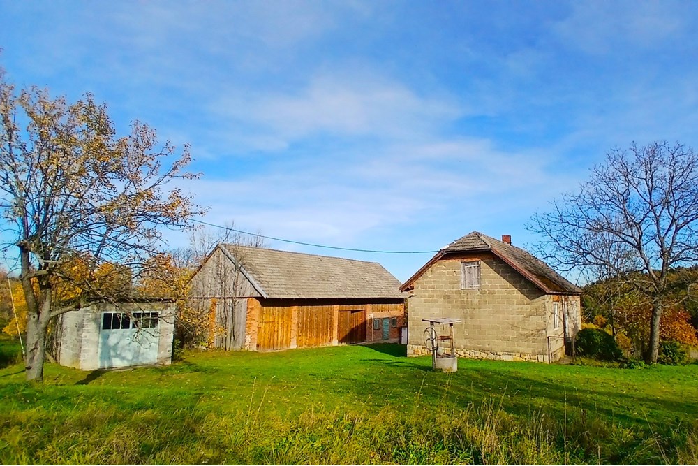 Dom wolnostojący - Sprzedaż - Krasne-Lasocice, Polska - 20251031_134739.jpg - 800241017-143