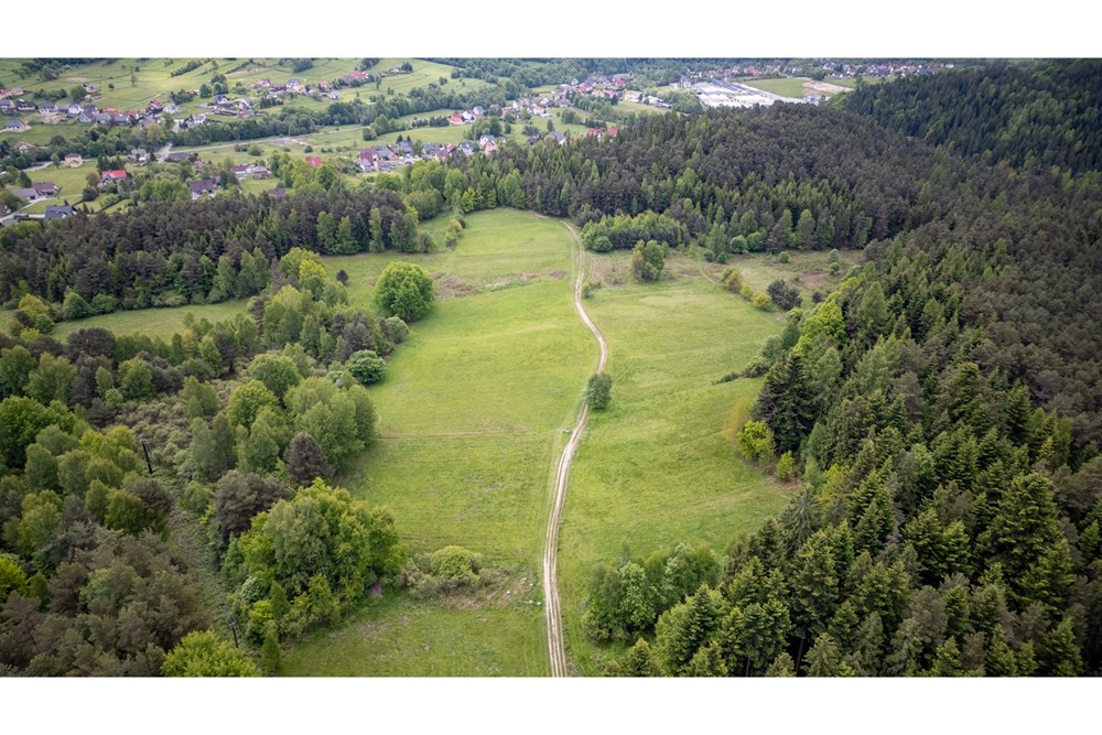 Działka - Sprzedaż - Krzeszów, Polska - DJI_0355.jpg - 470131112-5