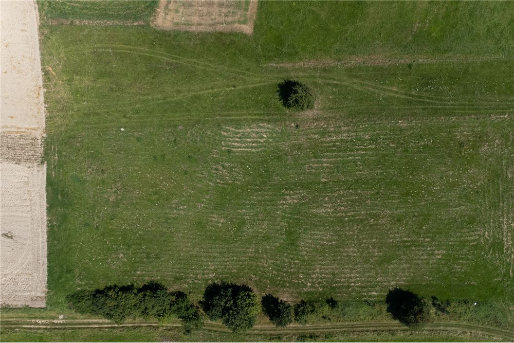 Działka - Sprzedaż - Młynne, Polska - 27 - 800061103-179