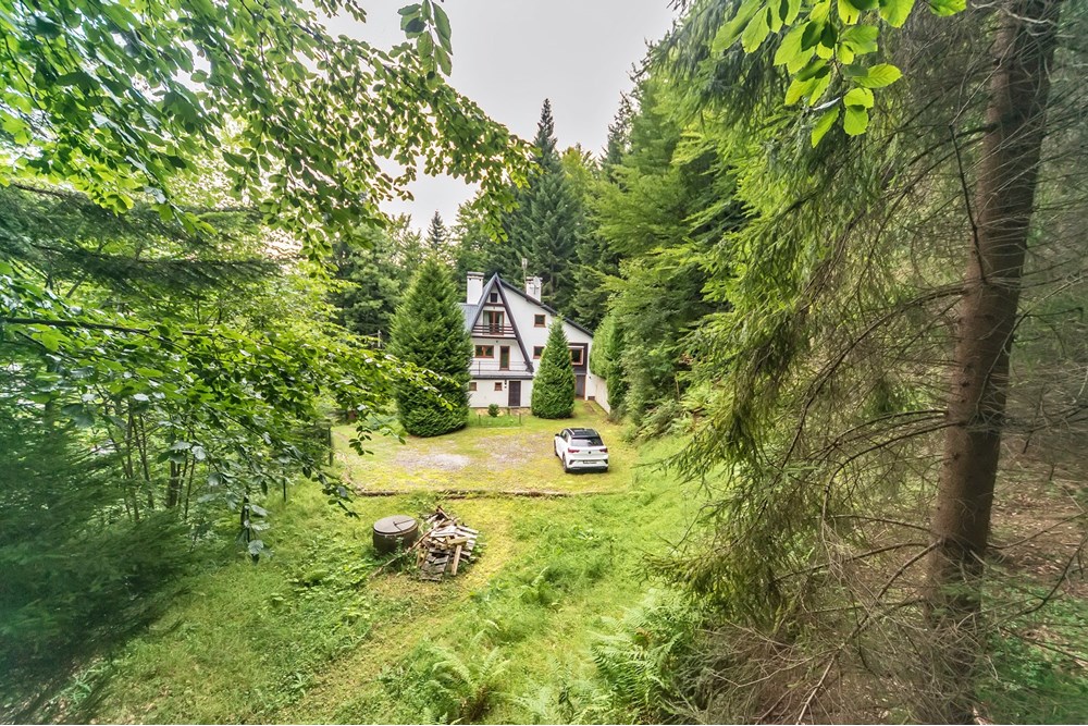 Dom wolnostojący - Sprzedaż - Rzyki, Polska - 34.jpg - 800061057-195