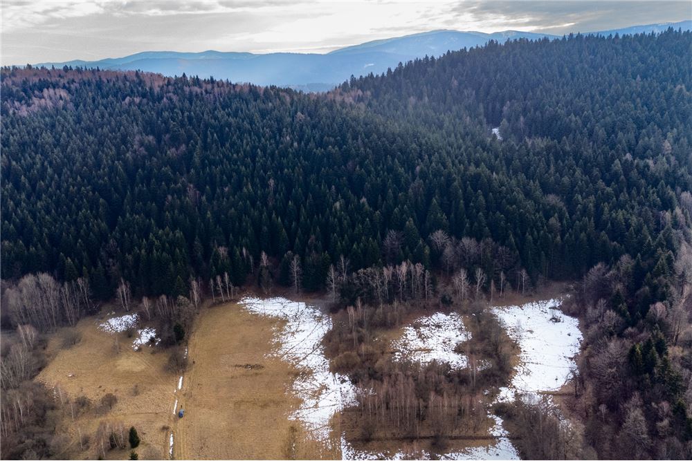 Działka budowlana - Sprzedaż - Las, Polska - 15 - 800061103-198