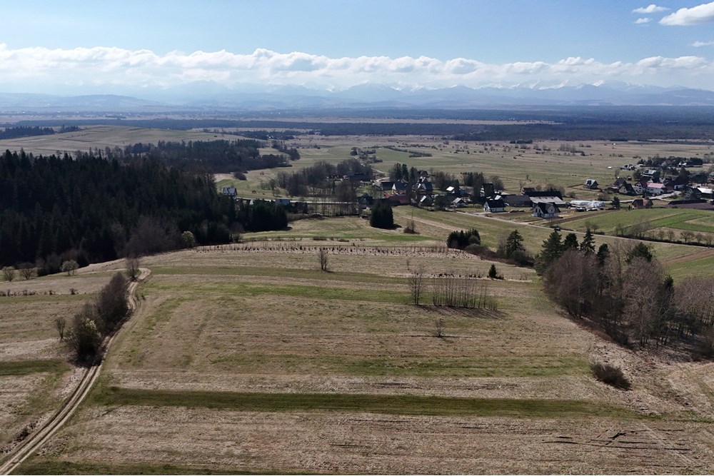 Działka - Sprzedaż - Odrowąż, Polska - DJI_20250404110453_0788_D.JPG - 800091055-1