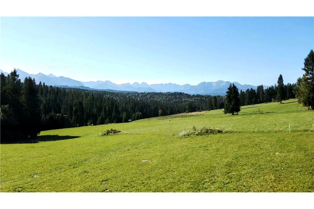 Działka - Sprzedaż - Rzepiska, Polska - 4 - 470151015-476