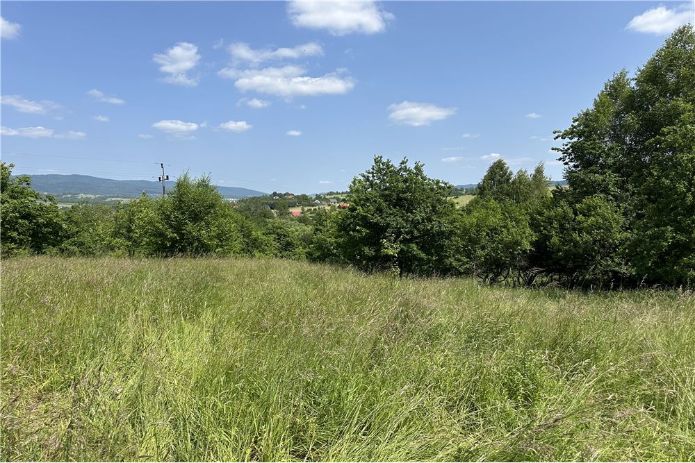 Działka budowlana - Sprzedaż - Rychwałd, Polska - 49 - 800061103-169