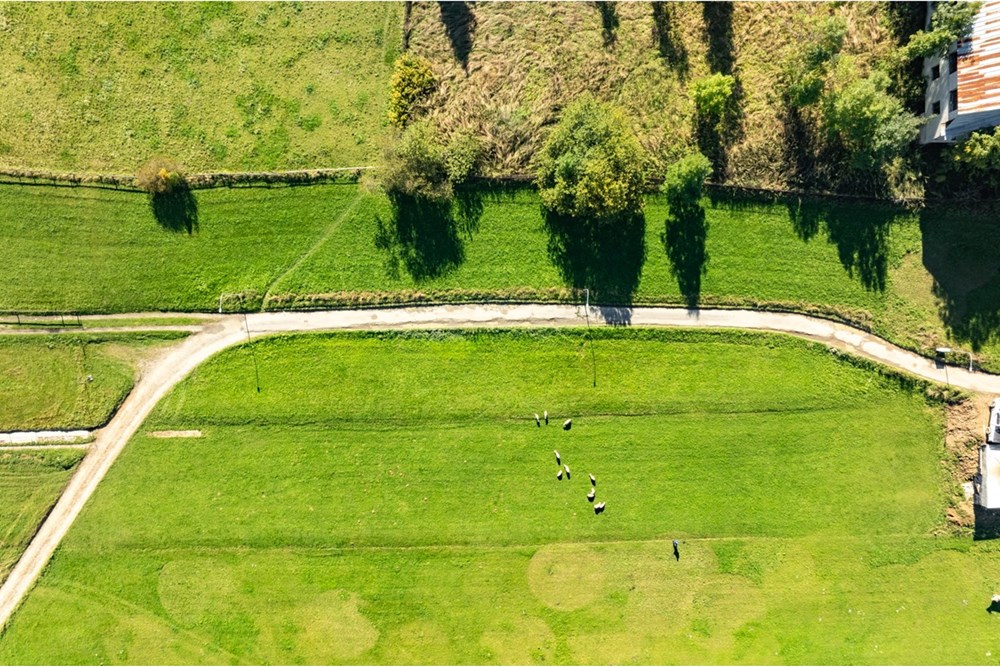 Działka budowlana - Sprzedaż - Ząb, Polska - 20251004-DJI_0833-HDR-2.jpg - 470151035-148