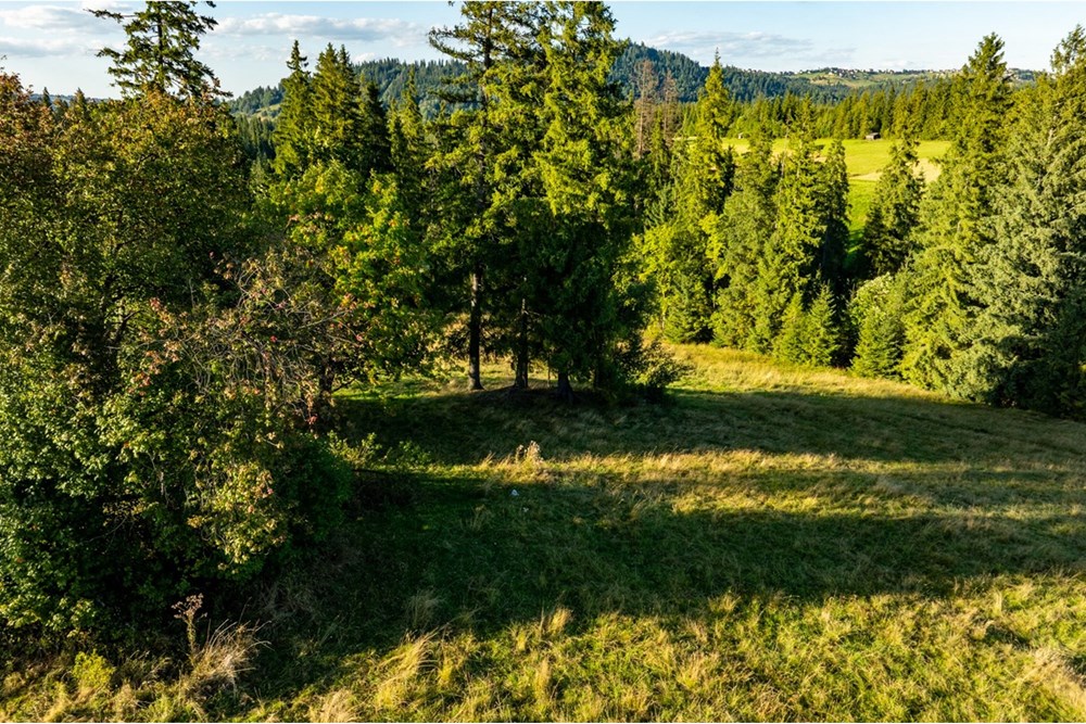 Działka - Sprzedaż - Zakopane, Polska - 20250826-DJI_0103-HDR.jpg - 470151024-450