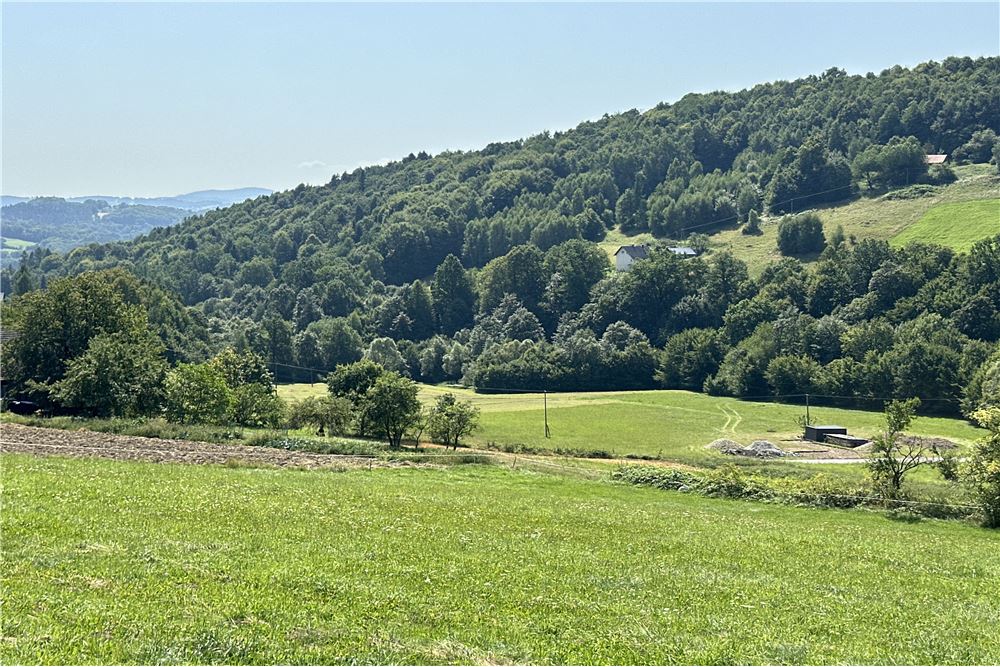 Działka - Sprzedaż - Młynne, Polska - 5 - 800061103-179