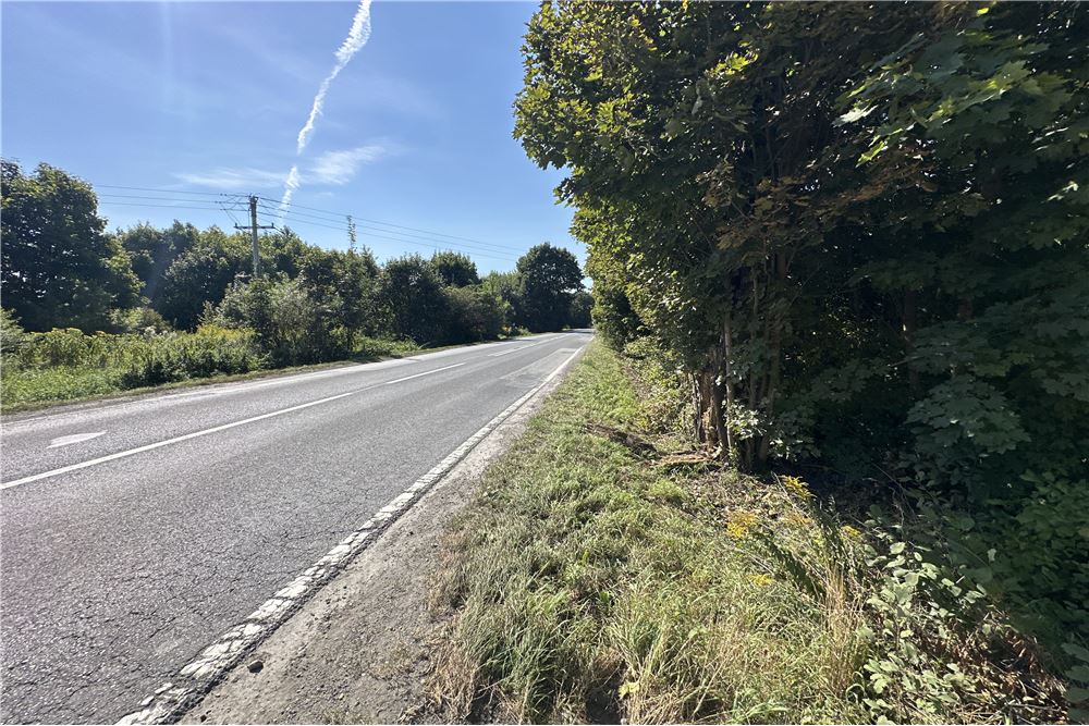 Działka - Sprzedaż - Jankowice, Polska - 5 - 800061103-174