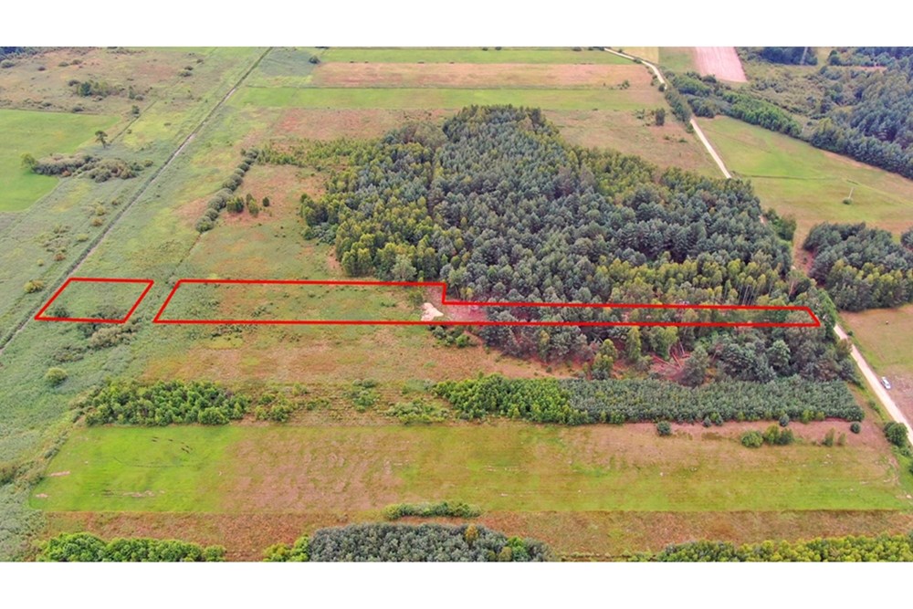 Nieruchomość gruntowa - Sprzedaż - Rudniki-Kolonia, Polska - Koniecpol (4).jpg - 800041074-18