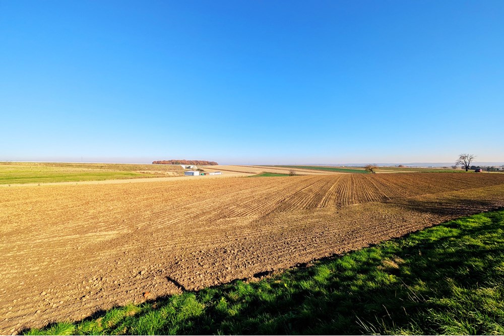 Nieruchomość inwestycyjna - Sprzedaż - Rudnik, Polska - 73ac23d6-fc26-4630-ab0c-a2321c1c188b.jpg - 470311007-9