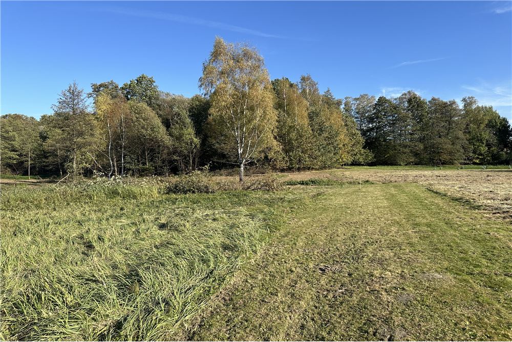 Działka budowlana - Sprzedaż - Jasienica, Polska - 40 - 800061103-173