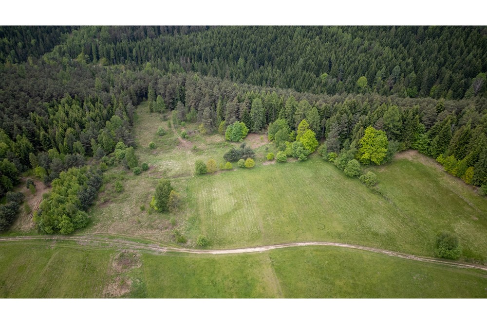 Działka - Sprzedaż - Krzeszów, Polska - DJI_0351.jpg - 470131112-5