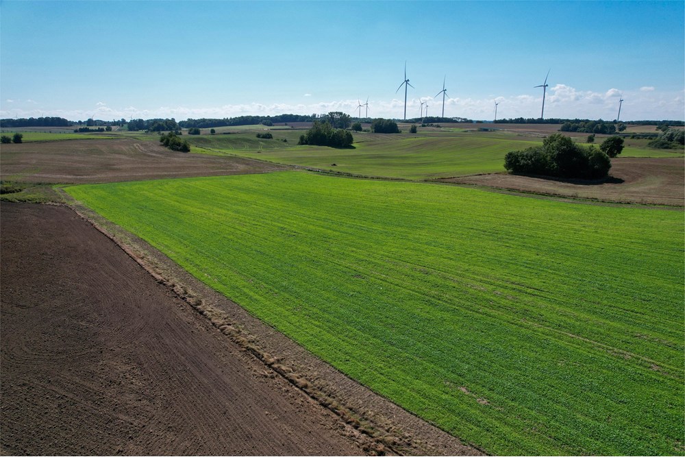 Działka budowlana - Sprzedaż - Będzino, Polska - 12.jpg - 470281002-229