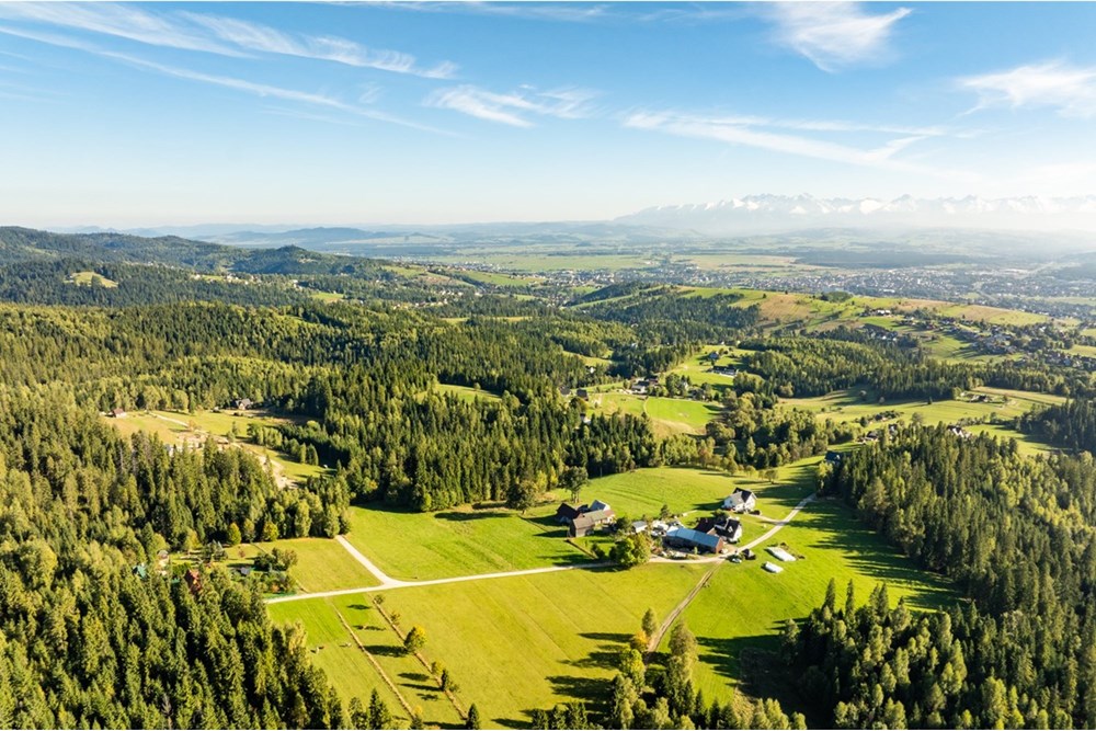 Działka budowlana - Sprzedaż - Nowy Targ, Polska - 20251004-DJI_0174-HDR.jpg - 800091040-99