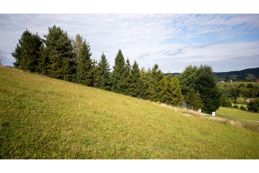 Działka budowlana - Sprzedaż - Sułkowice, Polska - 8.jpg - 470131023-217