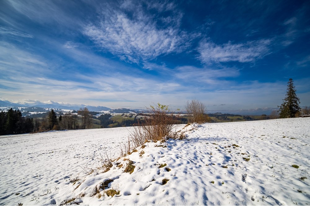 Działka - Sprzedaż - Ratułów, Polska - PB130004.jpg - 470151035-149