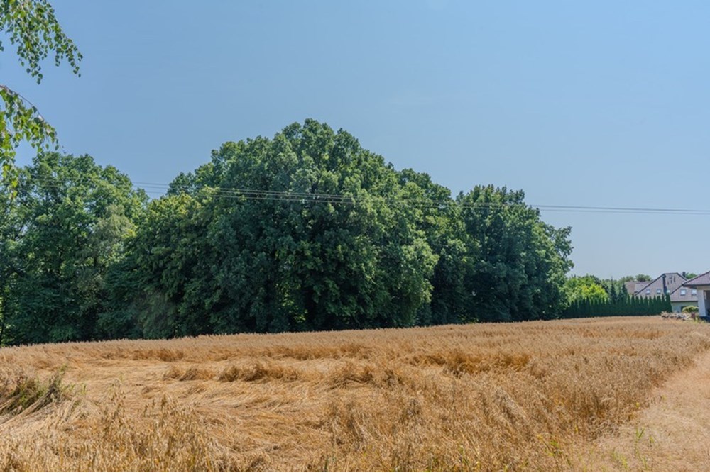 Działka budowlana - Sprzedaż - Bielsko-Biała, Polska - 2.JPG - 470131102-38