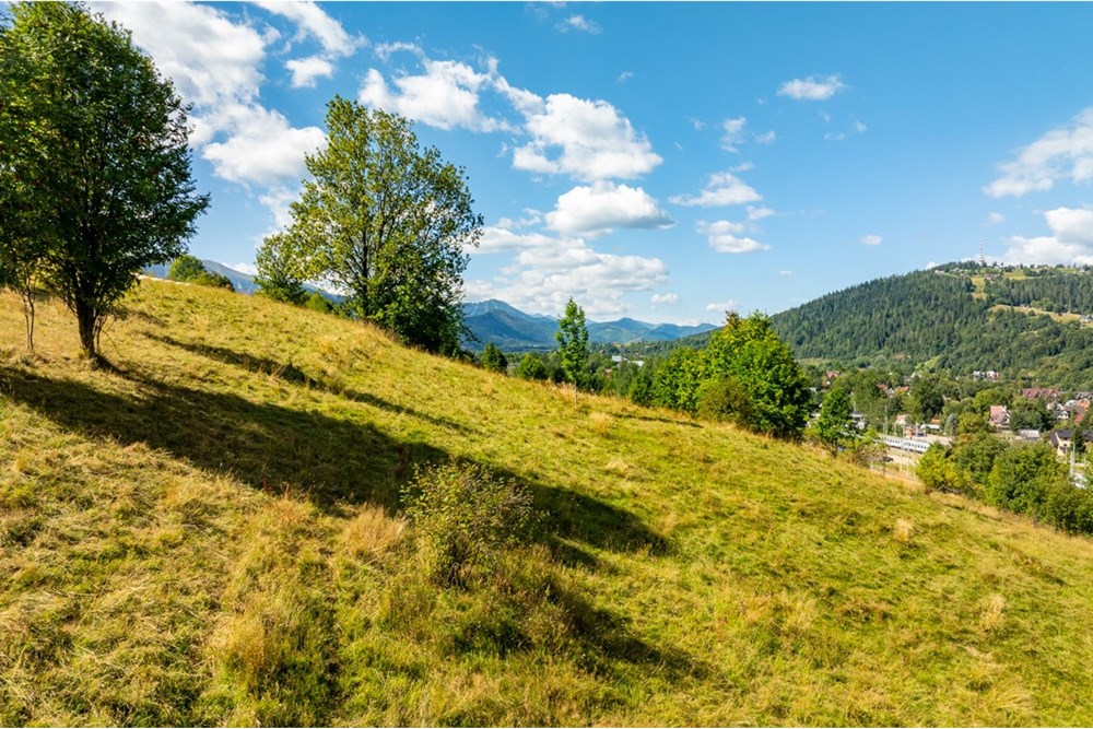 Działka - Sprzedaż - Zakopane, Polska - Artur Zając remax  (5).jpg - 800091026-83