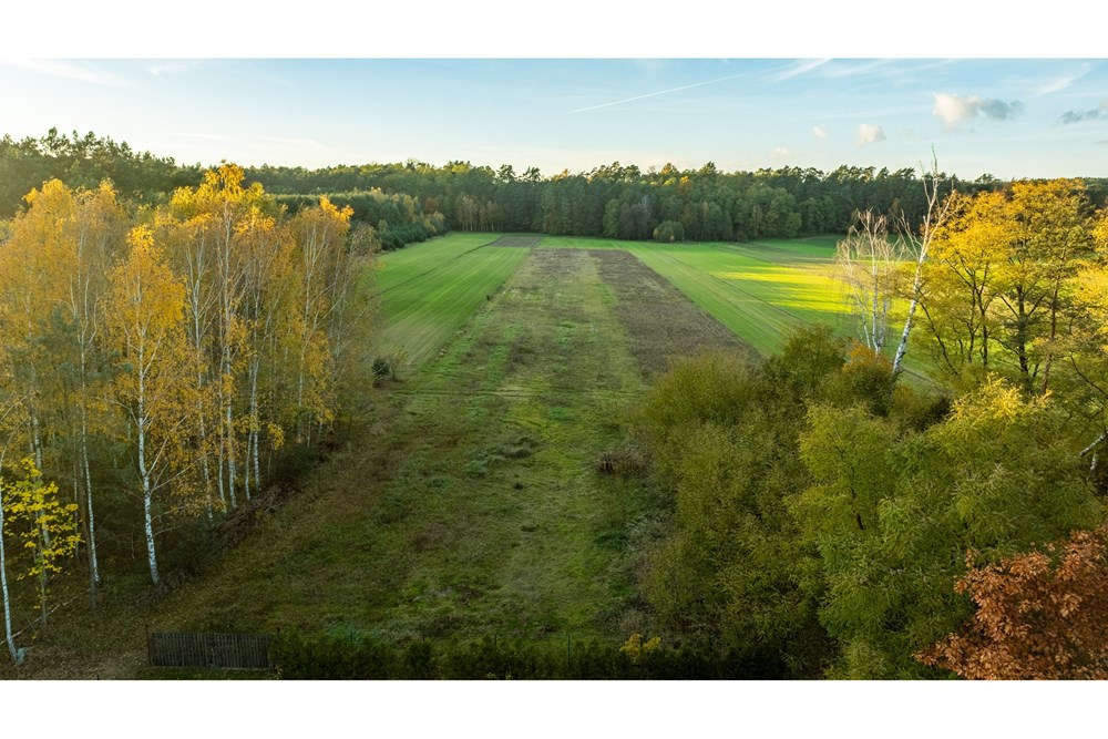 Dom wolnostojący - Sprzedaż - Toporów, Polska - 1 (26).jpg - 810251052-72