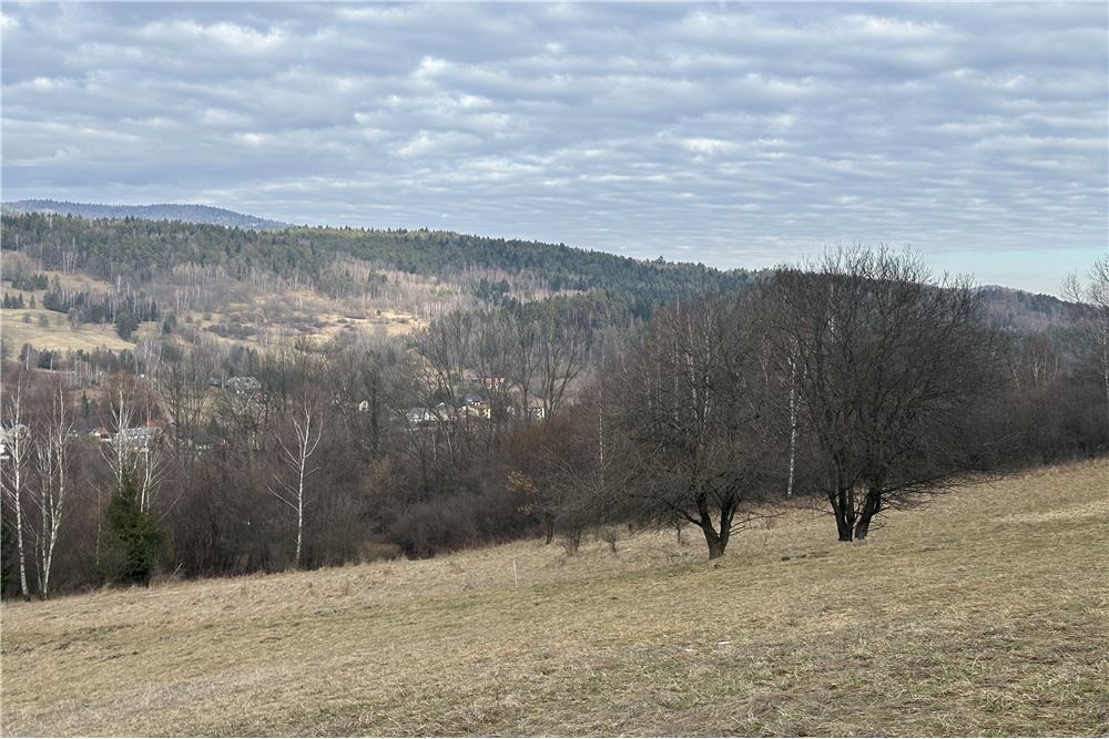 Działka budowlana - Sprzedaż - Las, Polska - 42 - 800061103-198