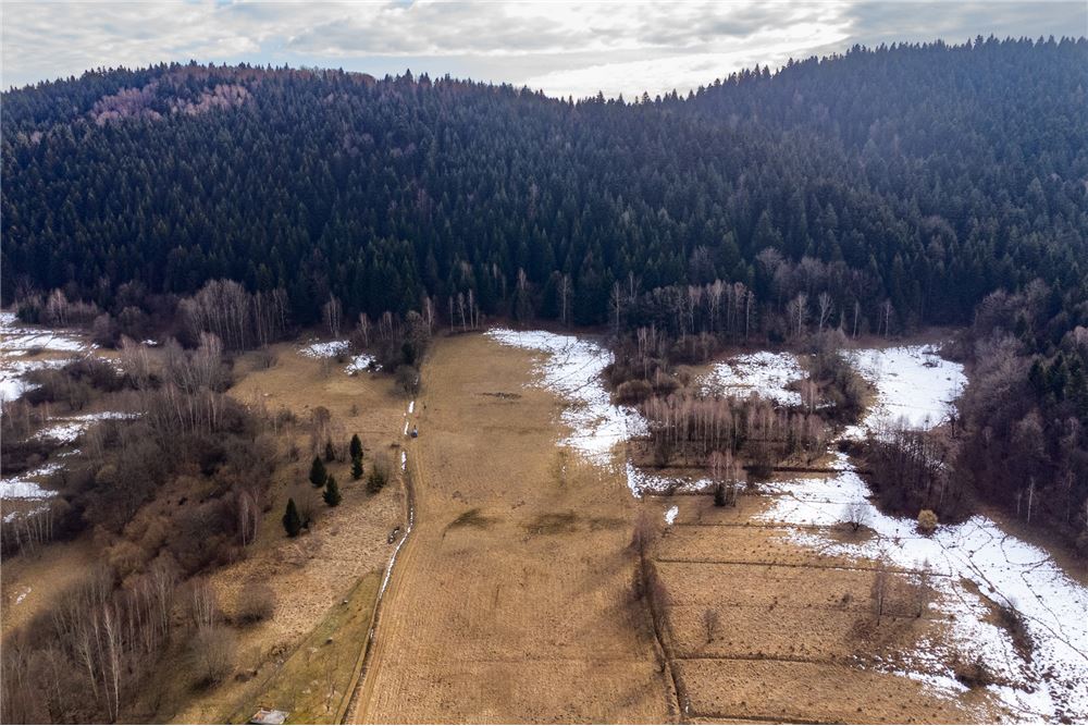 Działka budowlana - Sprzedaż - Las, Polska - 17 - 800061103-198