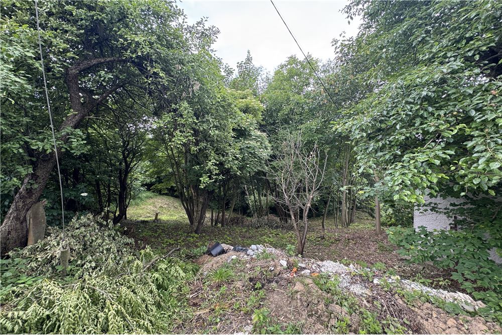 Działka budowlana - Sprzedaż - Chocznia, Polska - 4 - 800061100-85