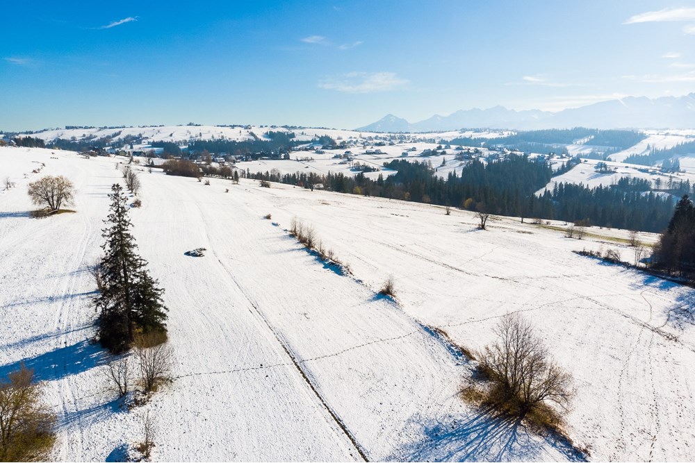 Działka - Sprzedaż - Ratułów, Polska - DJI_0433.jpg - 470151035-149