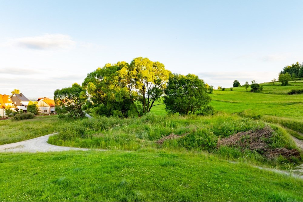 Działka budowlana - Sprzedaż - Pieniążkowice, Polska - DJI_0562-HDR-20.jpg - 800091045-36