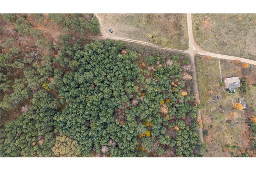 Działka budowlana - Sprzedaż - Siestrzeń, Polska - 5 - 810131032-99