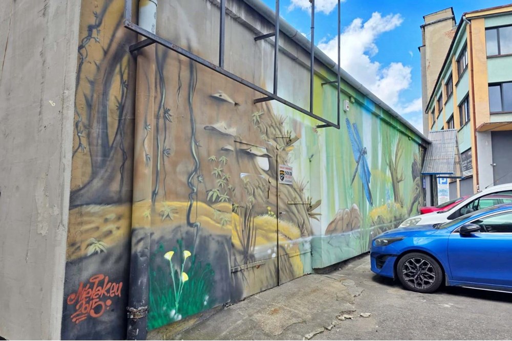 Lokal handlowy/usługowy - Wynajem - Bielsko-Biała, Polska - 3.jpg - 800061016-1299