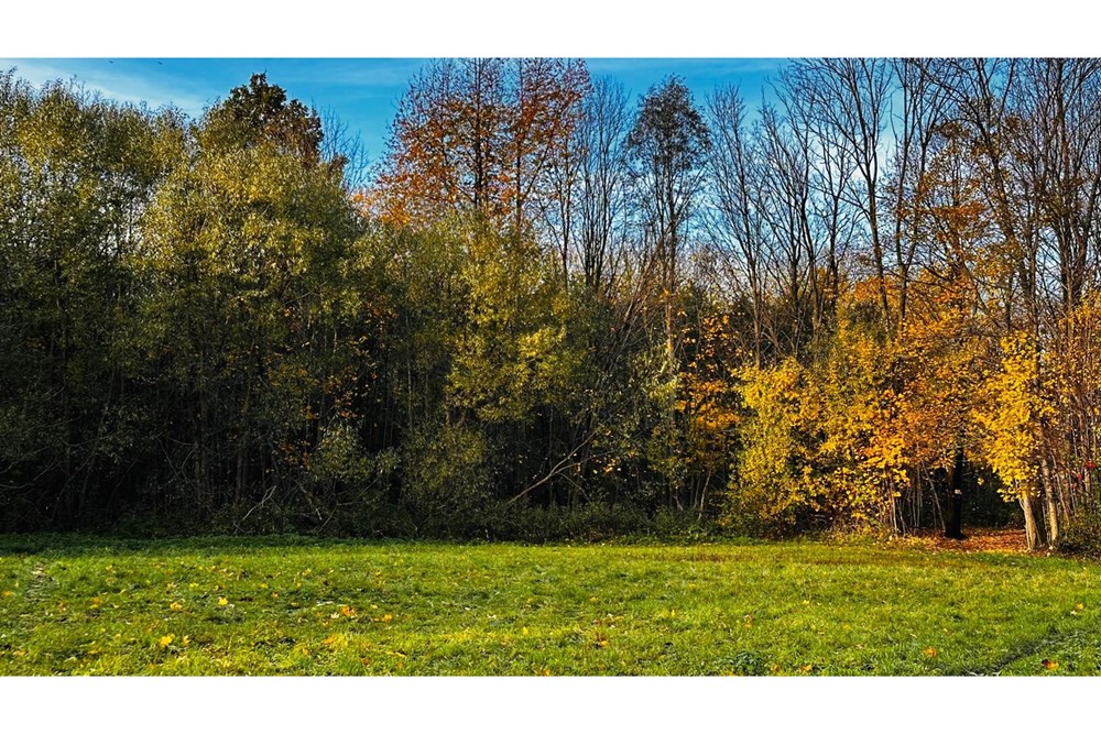 Działka - Sprzedaż - Bielsko-Biała, Polska - Zdjęcie WhatsApp 2025-10-25 o 12.48.38_3598e3f8.jpg - 800061109-41