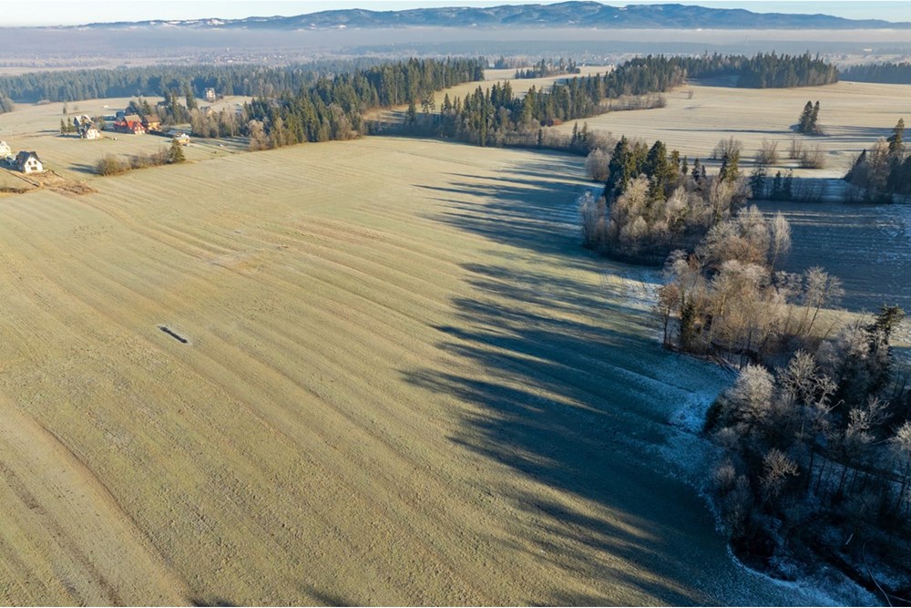 Działka - Sprzedaż - Maruszyna, Polska - 20251119-DJI_0470-HDR.jpg - 800091009-306